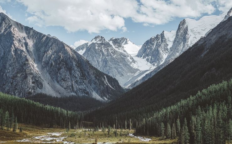 斯洛文尼亚快速移民